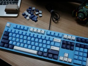 探索Akko的独特魅力（揭秘Akko的奇妙世界）